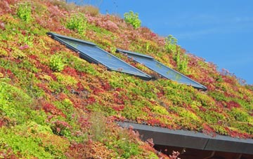 Stonehaven living roof systems